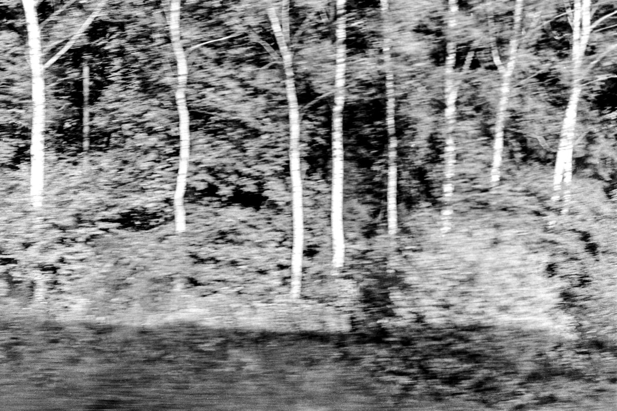 Krajina v pohybu, 1991