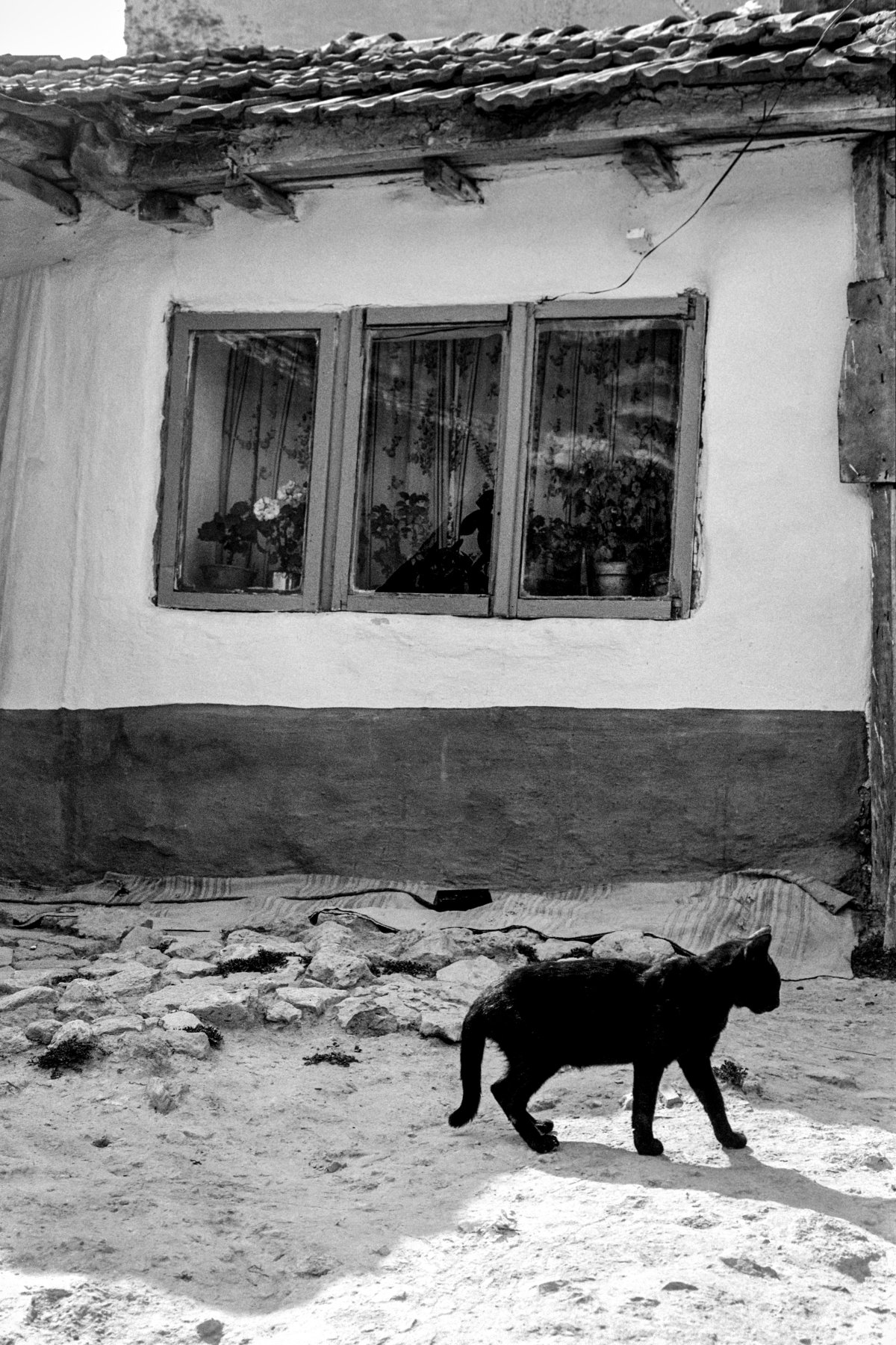 vesnice, 1987